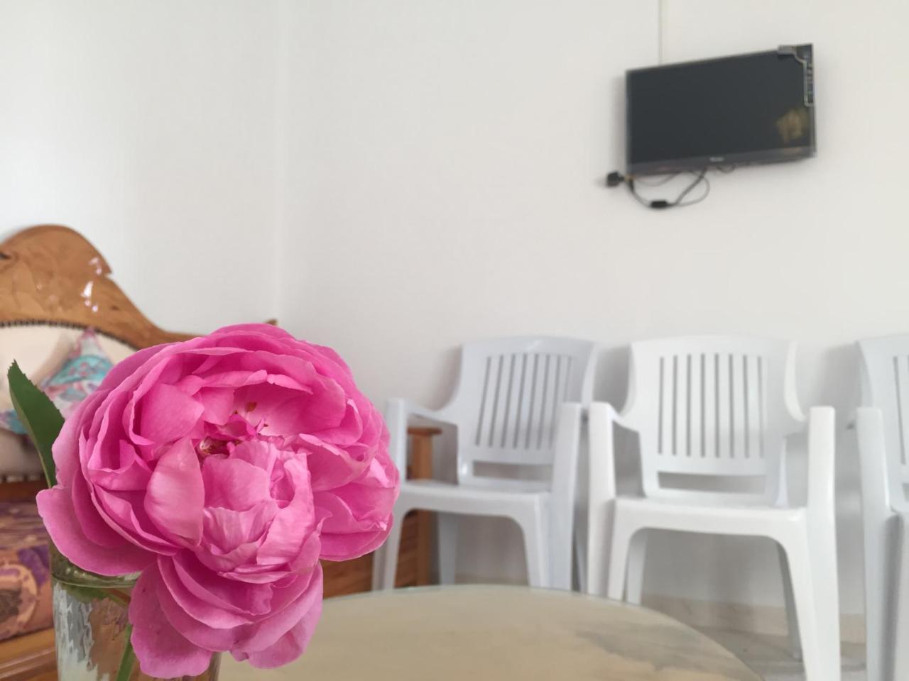 Appartement Paradise *