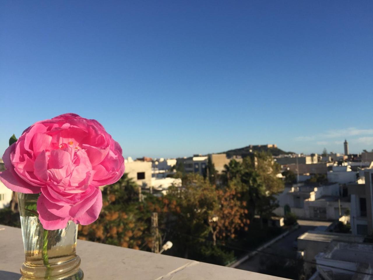 Appartement Paradise